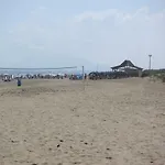 Frente Al Mar - Velazquez *