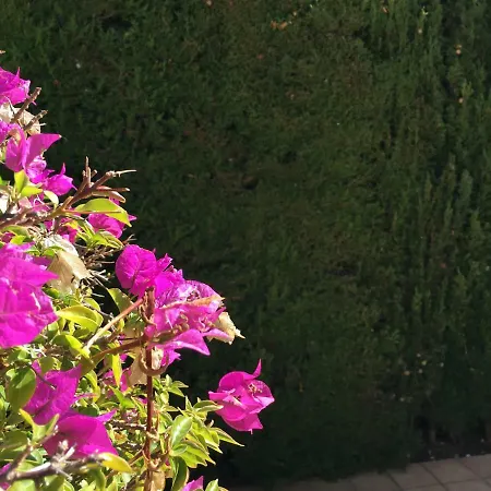 Frente Al Mar - Velazquez