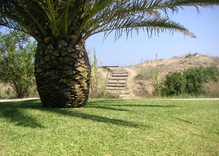 Frente Al Mar - Velazquez Oliva